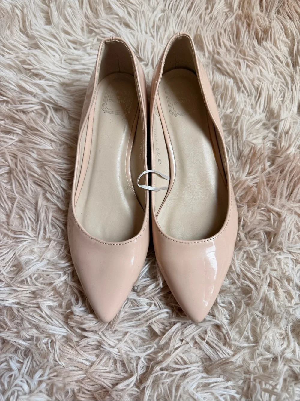 Nude Patent Pointed-Toe Women’s Flats